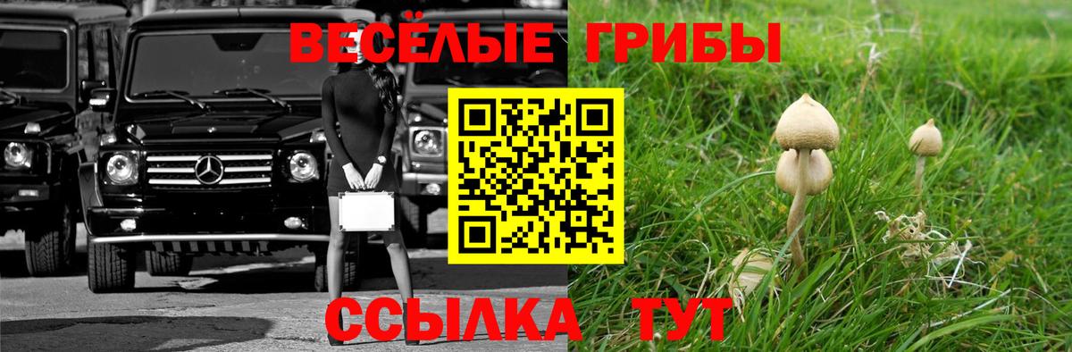 Каннабис Нарткала