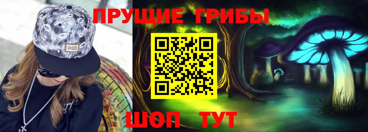 Галлюциногенные грибы прущие грибы  Вход с VPN  Нарткала 
